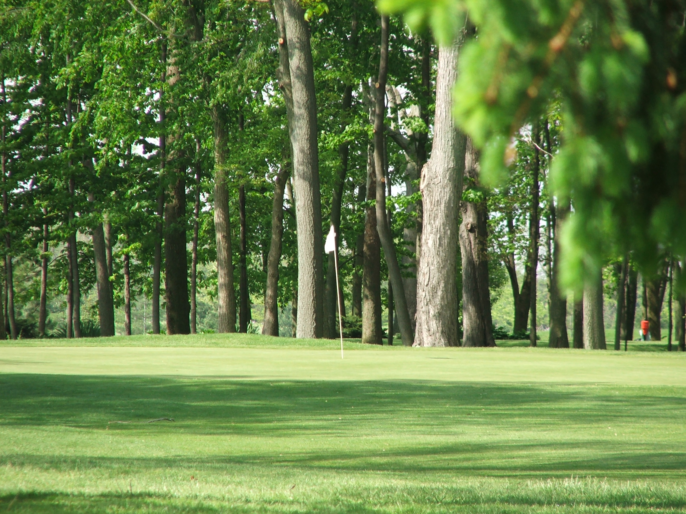 Pictures Sycamore Springs Golf Course